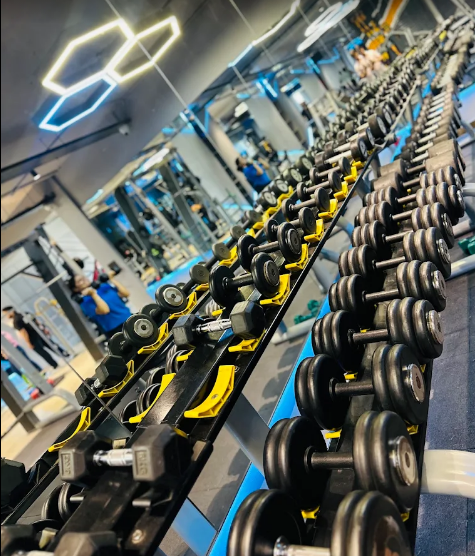 Muscle Building
